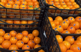 Celebra el Día de la Naranja con Frutas La Juaida
